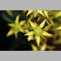 THUMB_NATURE_12.jpg