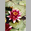 THUMB_NATURE_14.jpg