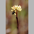 THUMB_NATURE_8.jpg